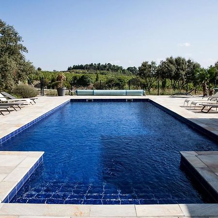 Appartamento Domaine de Cazaban Villegailhenc Esterno foto