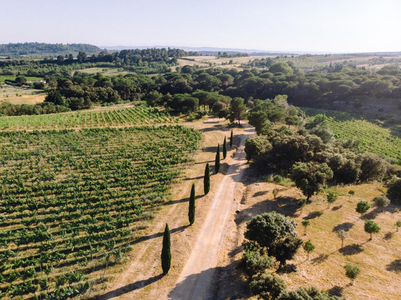 Appartamento Domaine de Cazaban Villegailhenc Esterno foto